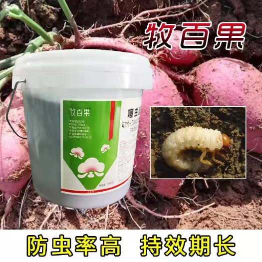 漯河噻虫胺微生物菌剂