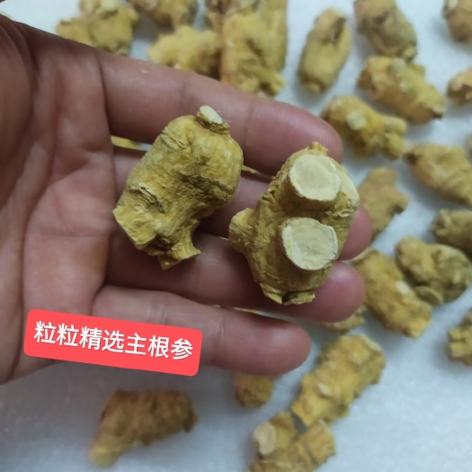 广州精挑西洋参花旗参粒粒精选10克粒头软支