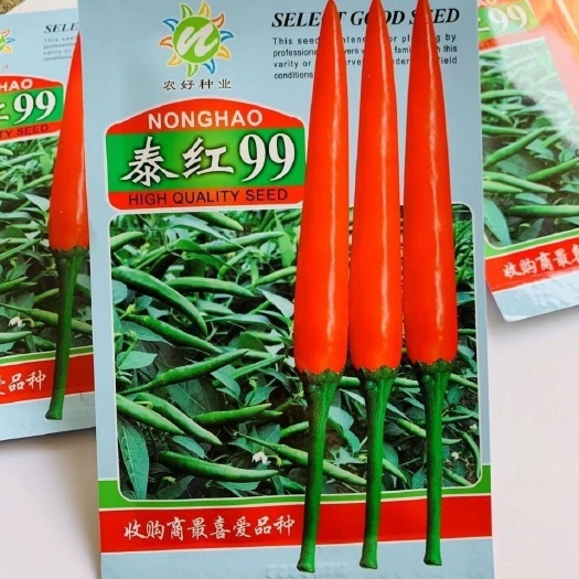 沭阳县泰国朝天椒种子 泰红99朝天椒辣椒种子指天椒小米椒种子