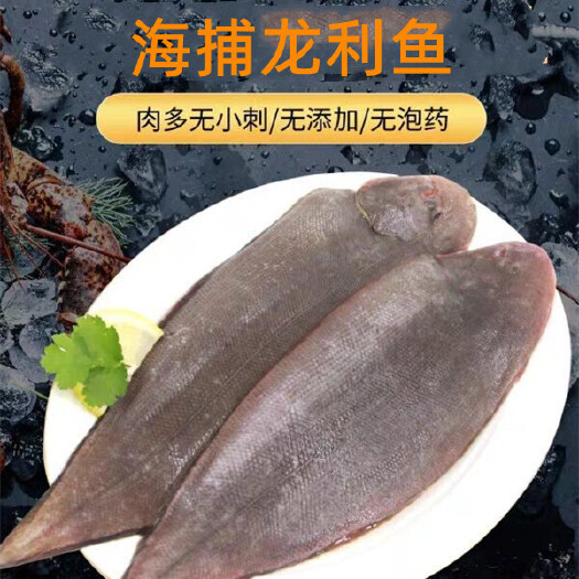 东山县龙利鱼  海捕龙利鱼  鲜嫩美味 刺少肉多