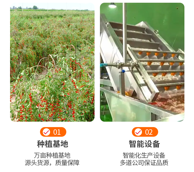 红枸杞    2024宁夏新枸杞无硫500g袋装1级干度大果