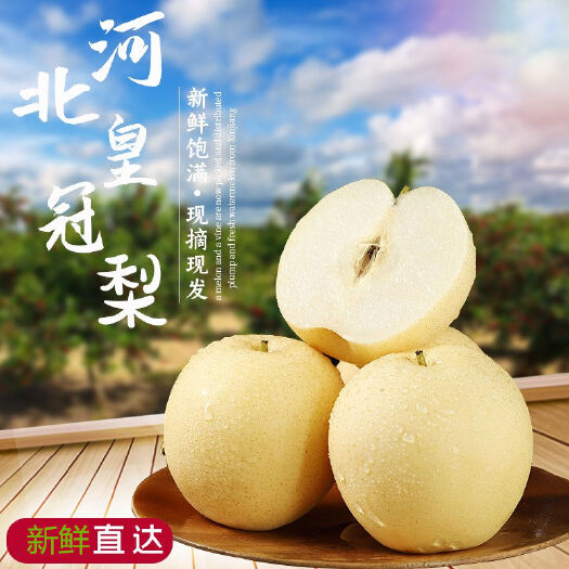 赵县河北皇冠梨口感清脆甘甜汁多肉多营养价值高