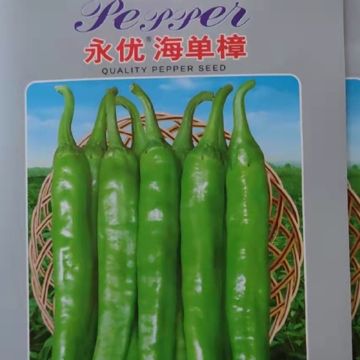 南靖县樟树港辣椒种子 永优樟树港椒种子