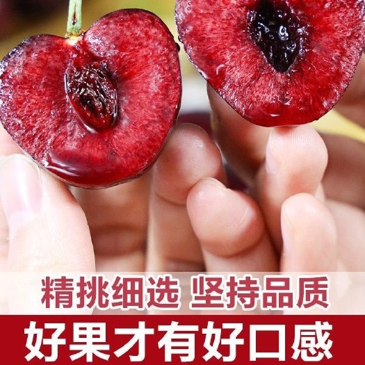 莒县樱桃批发产地直销货源充足品种齐全需要的联系品质保证