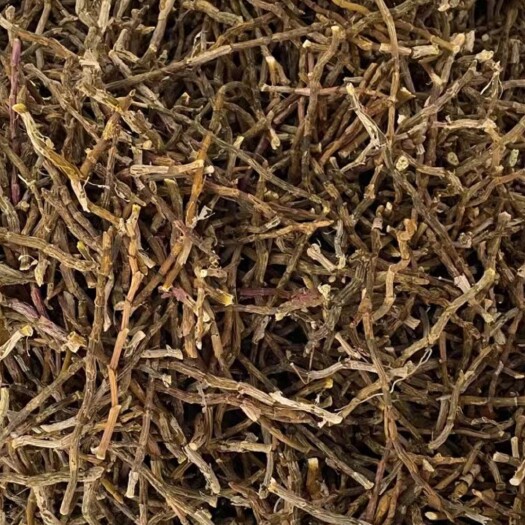 龙陵县铁皮石斛精选芽条<特粗、中粗>、各种规格