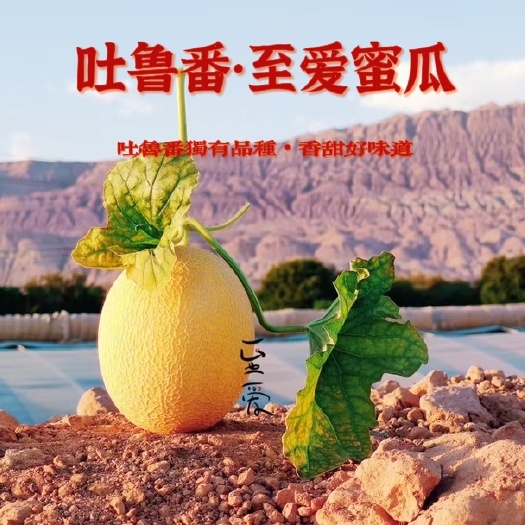 顺丰京东包邮～【吊藤】新疆吐鲁番哈密瓜至爱蜜瓜黄皮网纹瓜