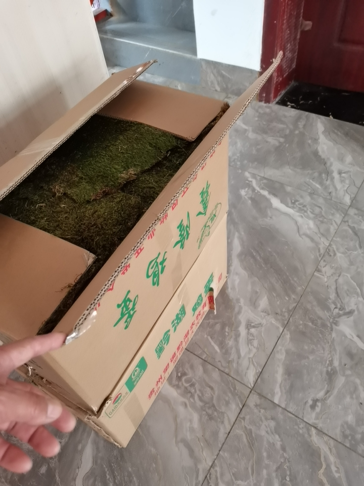 绿化草坪，给人们带来自然新鲜空气