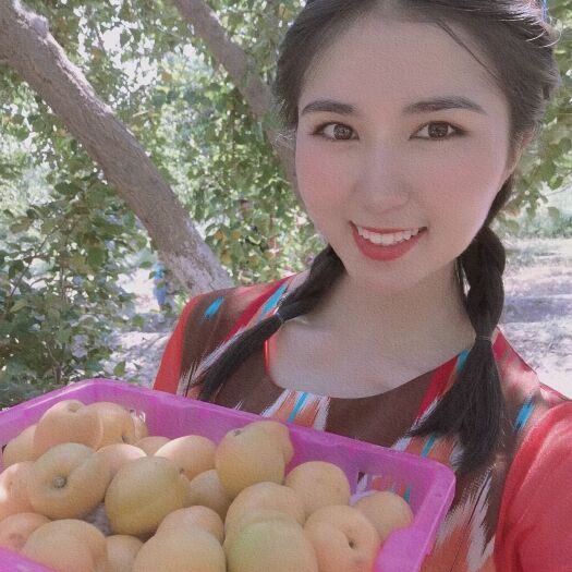 英吉沙县新疆喀什英吉沙色曼提杏子大量供应中品质好支持落地配整车