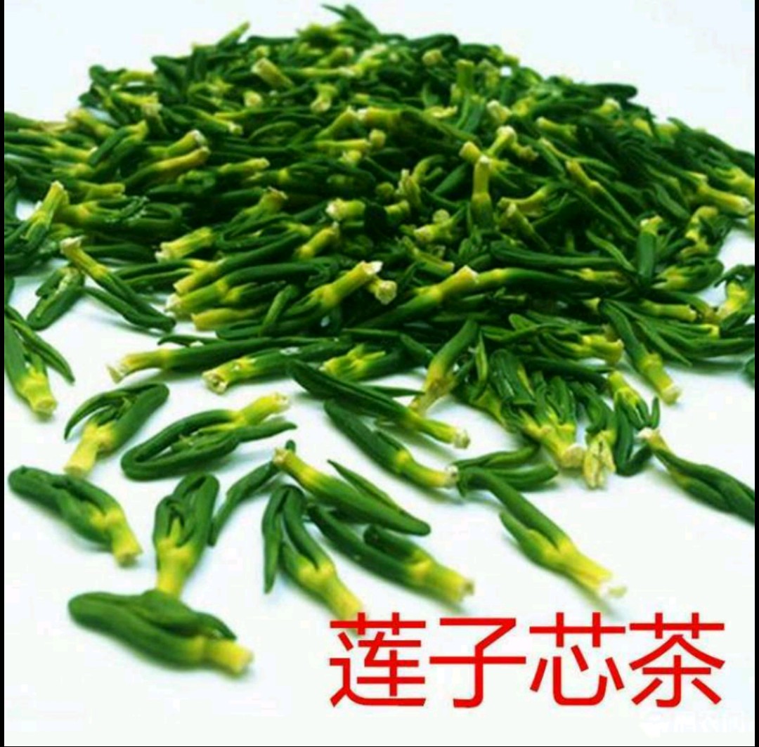 莲芯茶 莲子芯 莲心 干货批发 产地直销  只销当季莲子芯