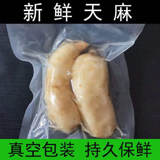 新鲜天麻真空包装湿天麻批发煲汤滋补中药材饭店专用