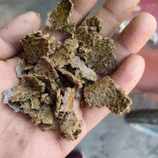 石家庄棉饼厂家直销