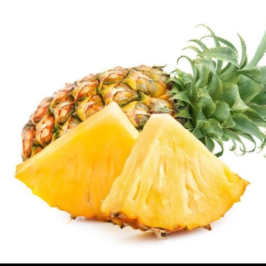 金平县云南金砖凤梨