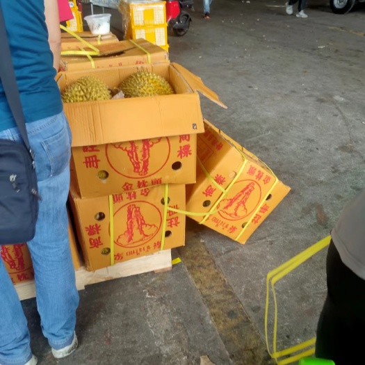 嘉兴金枕榴莲