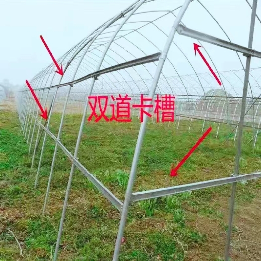 天津西瓜大棚 草莓大棚 蔬菜大棚，连体棚，联动棚