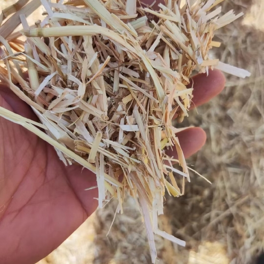延津县小麦秸秆