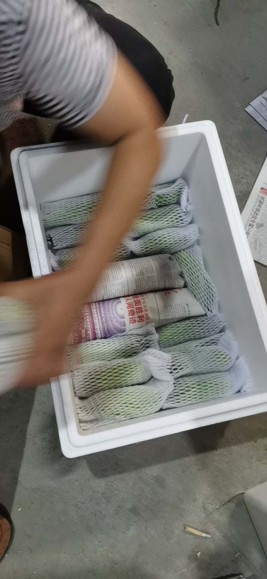 水果黄瓜
