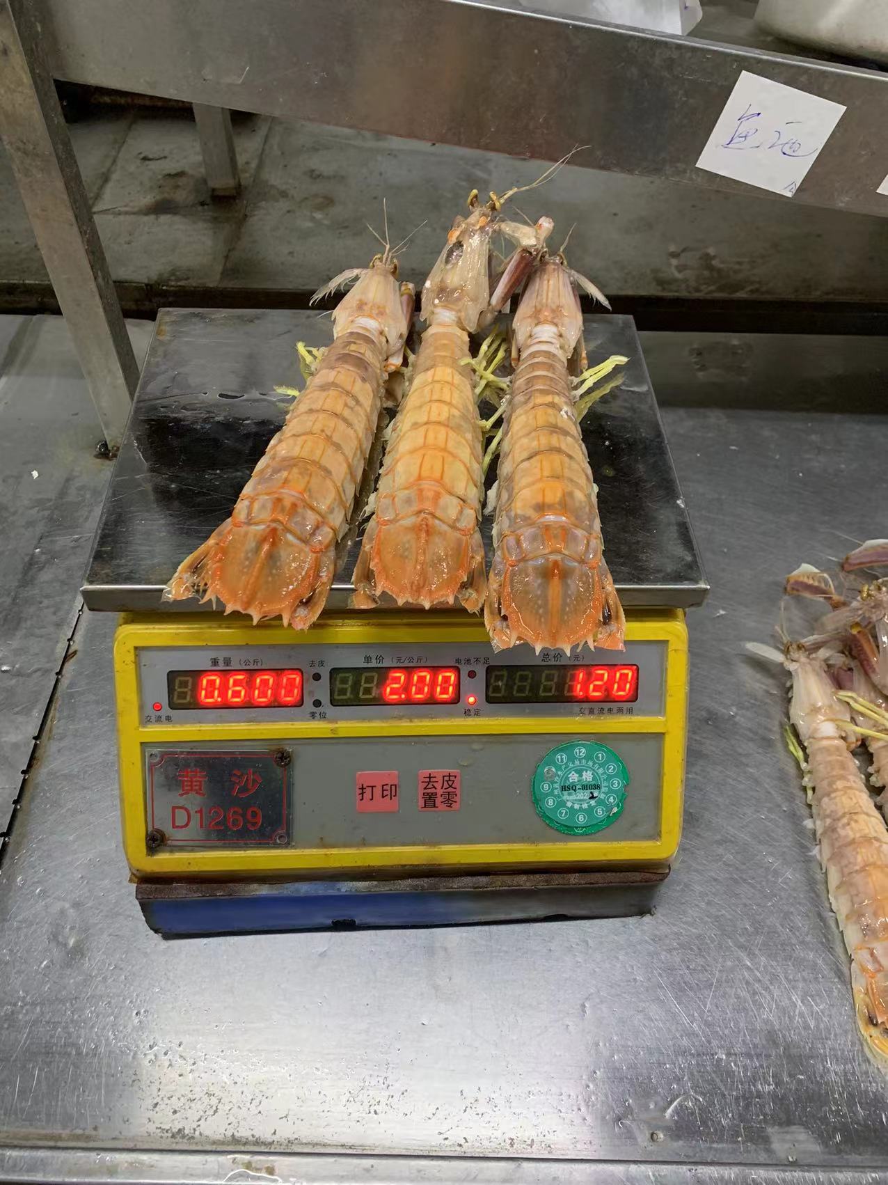 廣州廣州熟凍泰國皮皮蝦手臂這么長