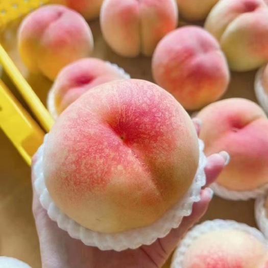 无锡【隔日达 冷链配送】阳山水蜜桃生鲜水果礼盒 4－5两 8个装