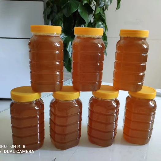 吉县采洋槐， 1kg/瓶。