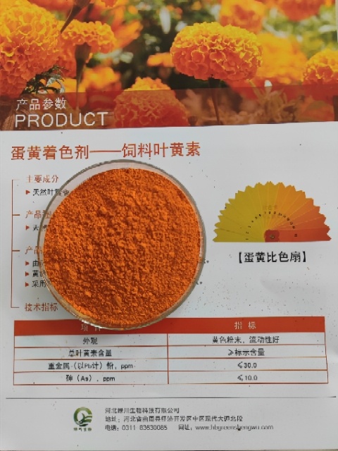 曲周县蛋黄着色剂万寿菊提取物 叶黄素