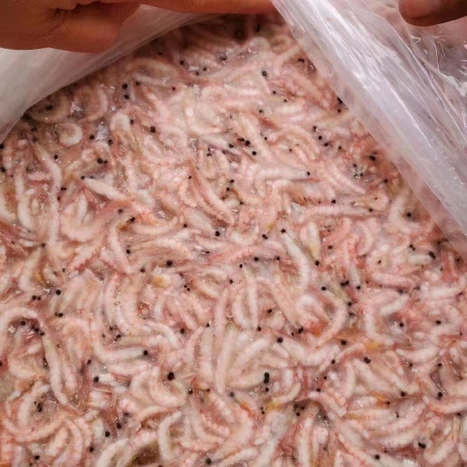 荣成市南极磷虾原料水产饲料