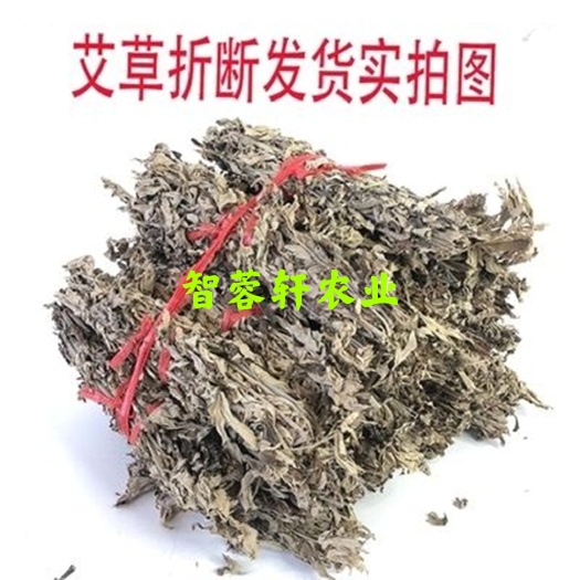 巢湖艾草艾叶整棵带杆传统中草药 安徽合肥产地直销 高品质可定制