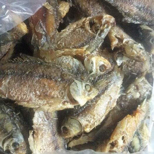 鄂州鲫鱼，精品淮河油炸小鲫鱼，活体一两左右，干净卫生，7斤一包。