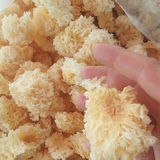 郑州小银耳