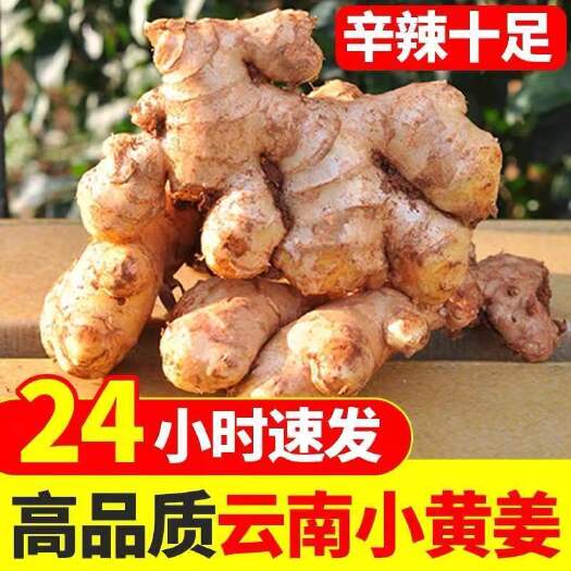 蒙自市云南小黄姜现挖现发老姜沙姜子芽姜电商直播一件代发