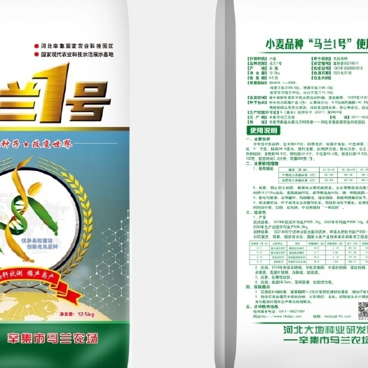 济南马兰一号，历时十年培育出来的新品种