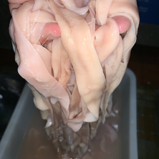 成都液氮索鲜鹅肠