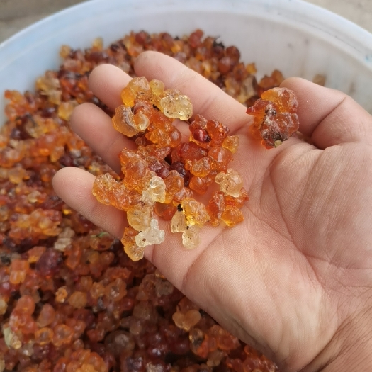 枣阳市露天桃胶，养生佳品
