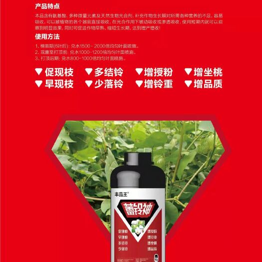 郑州蕾铃神