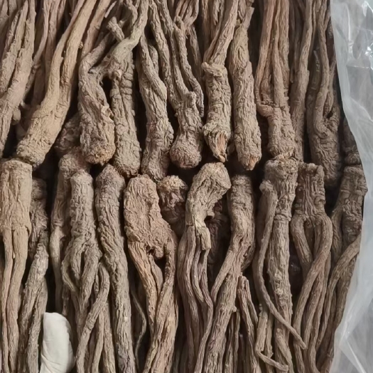陇西县当归保农残各规格