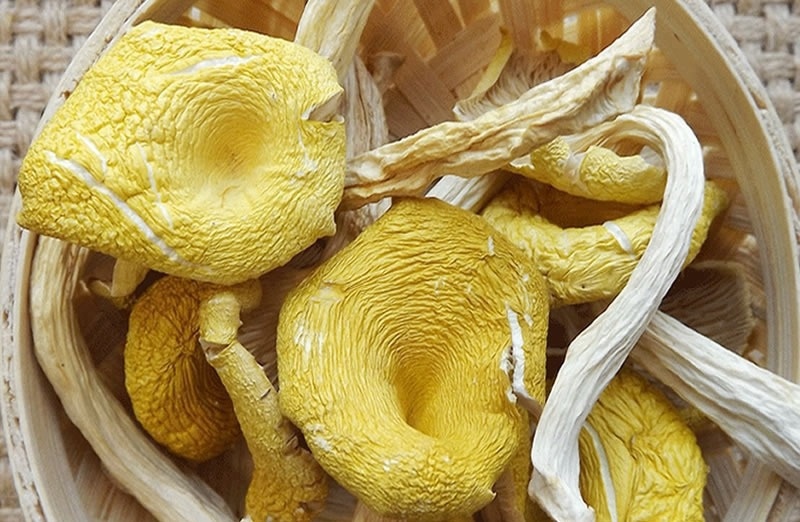 海林市东北榆黄蘑，一等货，品相好，一手货源，一件代发