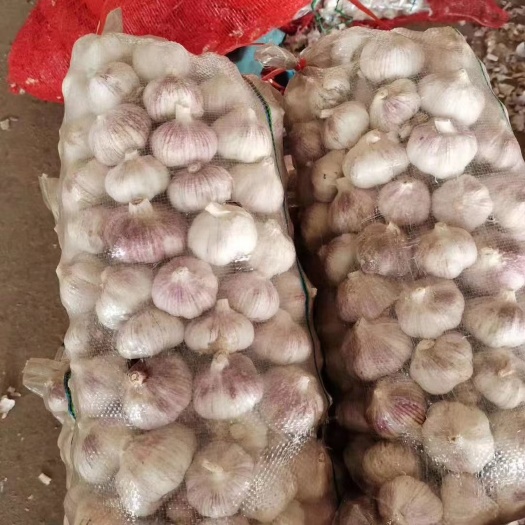 柘城县河南精品大蒜，可视频看货，代收代发，保质保量，量大优惠