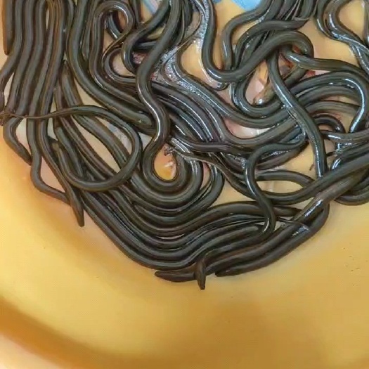 绍兴假一赔十