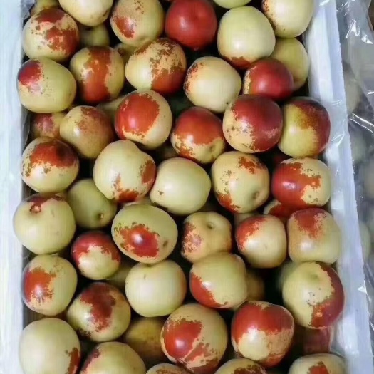 大荔县大荔冬枣基地