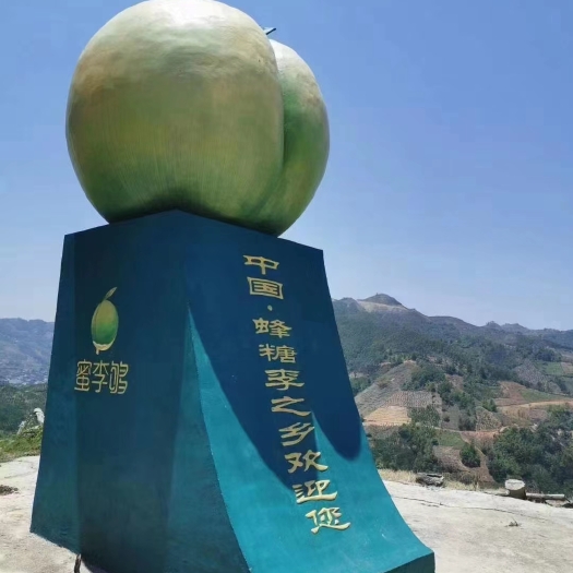 镇宁县贵州六马蜂糖李，甜如蜜
