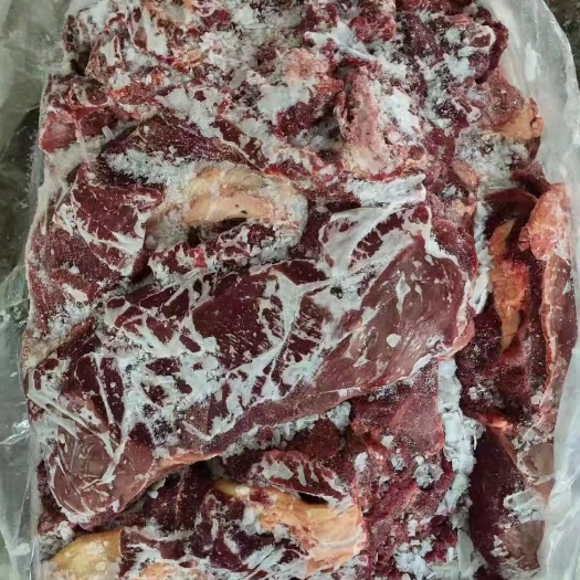 包头黄牛42000，量大可谈