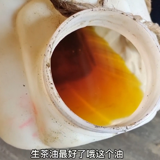 永福县广西桂林生榨小籽茶油