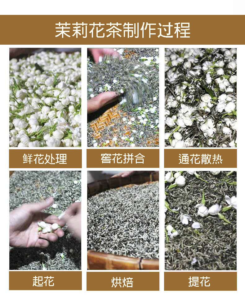 新茶浓香型白雪芽广西横县茉莉花茶 茉莉小金针 厂家散装茶叶批