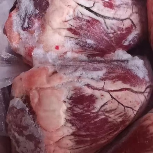 无棣县黄牛  牛心新鲜冷冻牛副产品真空包装保障冷链直送保证品质