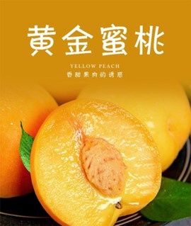 长沙河北阜平特级黄金蜜桃黄金蜜1号（绿色有机认证，地标产品）