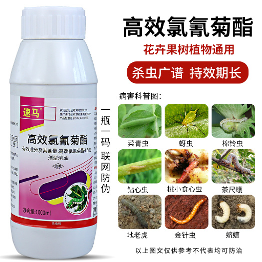 新沂市高效氯氰菊酯菜青虫小菜蛾地下害虫蔬菜花卉果树农药杀虫剂