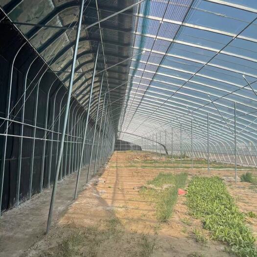 泊头市种植大棚，养殖大棚，各种大棚骨架，配件