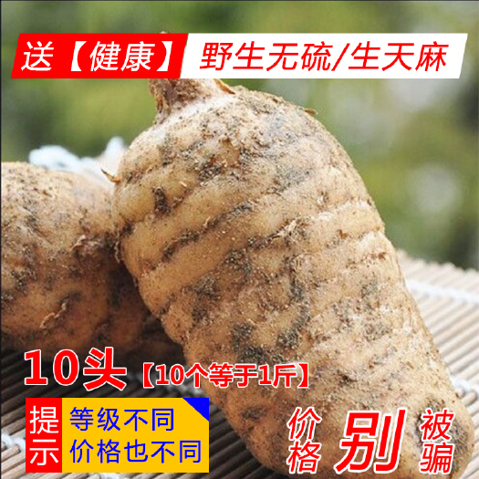 彝良县云南天麻昭通小草坝新鲜天麻彝良天麻纸箱礼盒装包邮