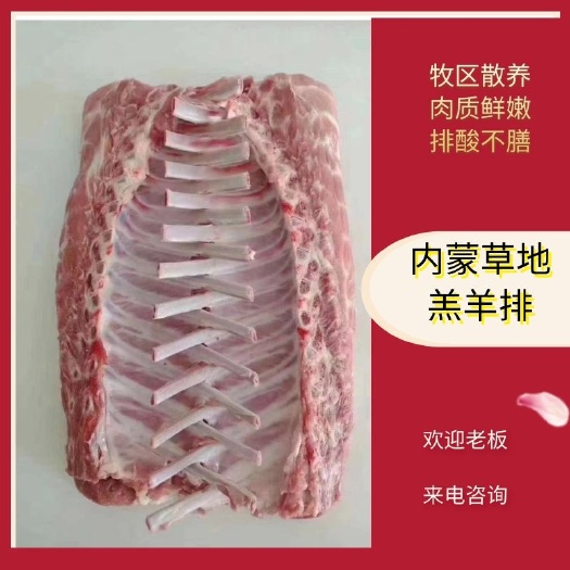 十二肋法排，选用内蒙草地羔羊，肉质鲜嫩，排酸不膳。
