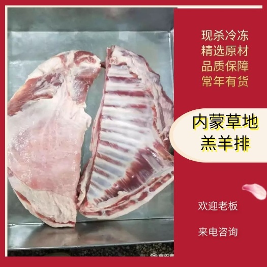 巴彦淖尔内蒙草地羔羊排，屠宰、加工、销售一体化。