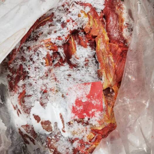 锡林浩特马肉